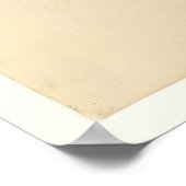 セルビーズフライキャッチャー ポスター (角)