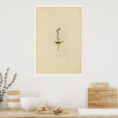 セルビーズフライキャッチャー ポスター (キッチン)