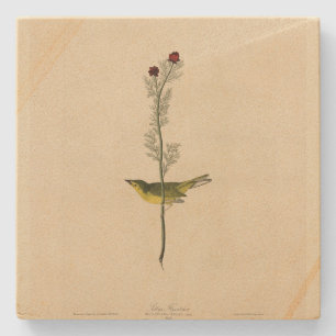 セルビーズフライ捕手 – Audubon's Birds of America ストーンコースター