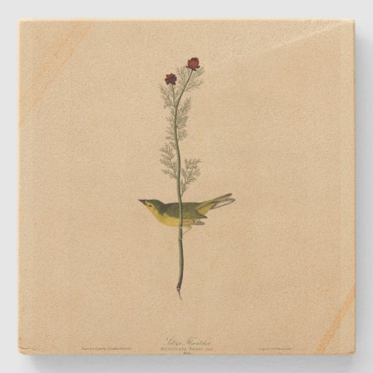 セルビーズフライ捕手 – Audubon's Birds of America ストーンコースター (正面)