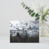 セルビー・オン・ザ・ベイ・ポストカード ポストカード (スタンド正面)