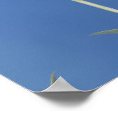 セルファーマス・ハミングバード ポスター (角)