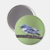 セルーリアンワラー マグネット (正面/裏面)