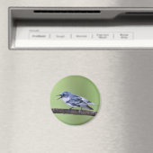 セルーリアンワラー マグネット (インサイチュ (食洗機))