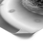 セル分割を見る ポスター (角)