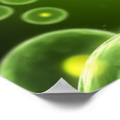 セル2 ポスター (角)