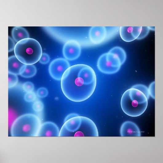 セル ポスター (正面)