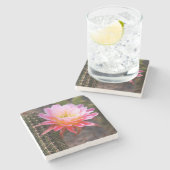 セレウスインピンクサボテン開花 ストーンコースター (横)