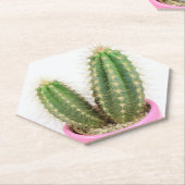 セレウス・サボテン ペーパーコースター (アングル)