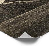 セレクトベイ，南ジョージア ポスター (角)