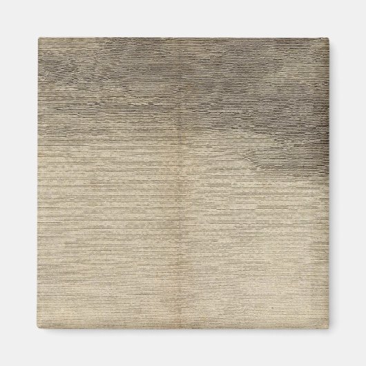 セレクトベイ，南ジョージア マグネット (正面)