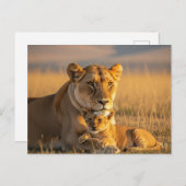 セレゲティ・タンザニアのライオネスとカブ ポストカード (正面/裏面)