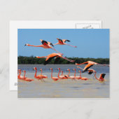 セレスタン生物圏保護区 ポストカード (正面/裏面)