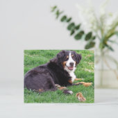 セレナ誇りを持ったー ポストカード (スタンド正面)