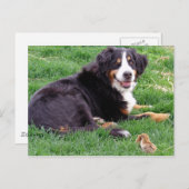 セレナ誇りを持ったー ポストカード (正面/裏面)