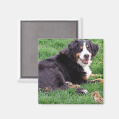 セレナ誇りを持ったー マグネット (正面/裏面)