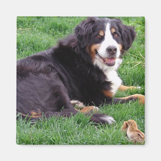 セレナ誇りを持ったー マグネット (正面)