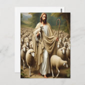 セレニティでラマを羊飼い ポストカード (正面/裏面)