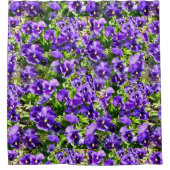 セレニティの海:美しい紫のパンジー畑 シャワーカーテン (正面)