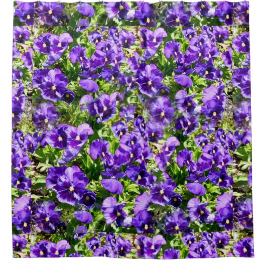 セレニティの海：美しい紫のパンジー畑 シャワーカーテン (正面)