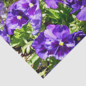 セレニティの海:美しい紫のパンジー畑 薄葉紙 (詳細)