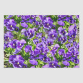 セレニティの海：美しい紫のパンジー畑 薄葉紙 (正面)