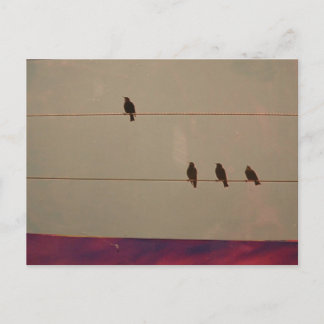 セレニティシリーズはがき ポストカード