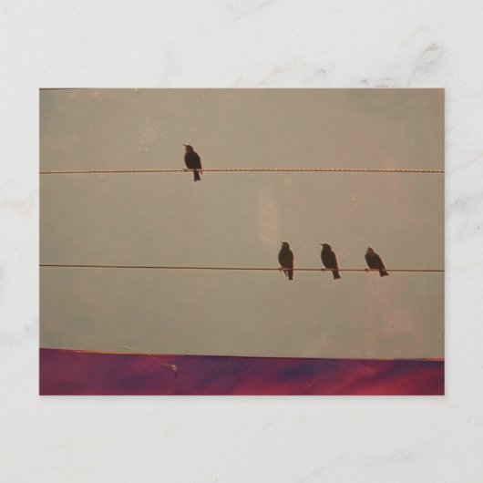 セレニティシリーズはがき ポストカード (正面)