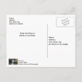 セレニティスパ秋はがき ポストカード (裏面)