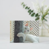 セレニティハグポストカード ポストカード (スタンド正面)