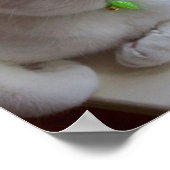 セレニティバイウィンドウポスター ポスター (角)