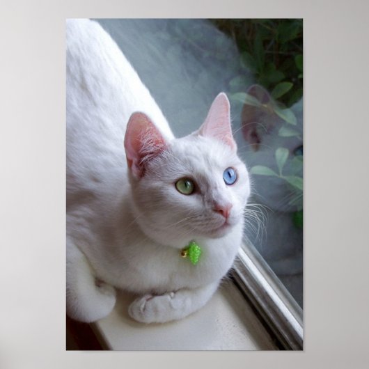 セレニティバイウィンドウポスター ポスター (正面)