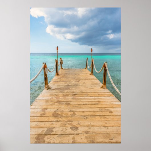 セレニティバイザシー ポスター (正面)