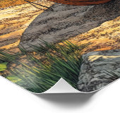 セレニティバイザポンドゥ ポスター (コーナー)