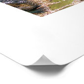 セレニティバイタレリー ポスター (角)