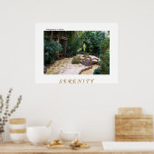 セレニティバイタレリー ポスター (キッチン)