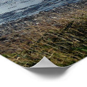 セレニティビュー ポスター (角)