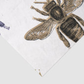 セレニティビーシリーズデザイン25 薄葉紙 (詳細)