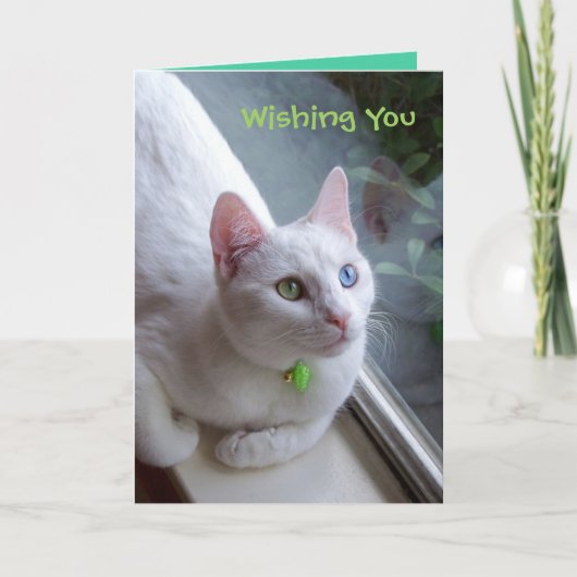 セレニティホリデーカード シーズンカード (正面)