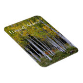 セレニティーイン金ゴールドとグリーン《植物》アスペンのフラッグスタッフ マグネット (右側)