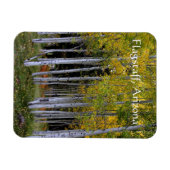 セレニティーイン金ゴールドとグリーン《植物》アスペンのフラッグスタッフ マグネット (横)