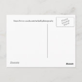 セレニティーイン金ゴールドとグリーン《植物》アスペン ポストカード (裏面)