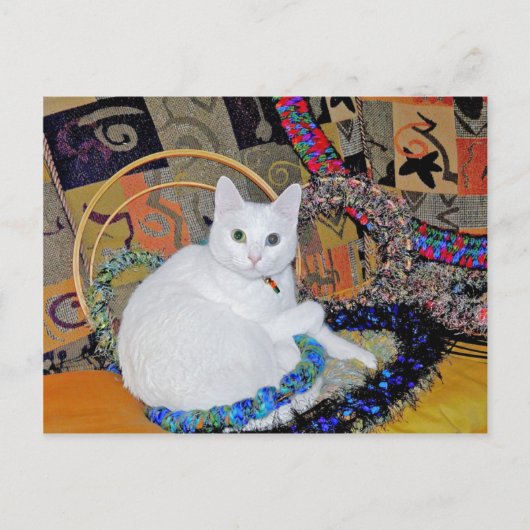 セレニティ円形はがき ポストカード (正面)