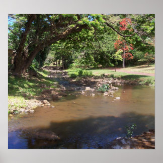 セレニティ川 ポスター