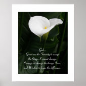 セレニティ感動的祈りの言葉カラリリーフローラ ポスター (正面)