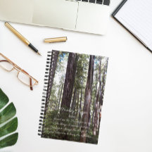 セレニティ感動的祈りの言葉サンライトフォレスト