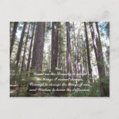 セレニティ感動的祈りの言葉サンライトフォレスト ポストカード (正面)