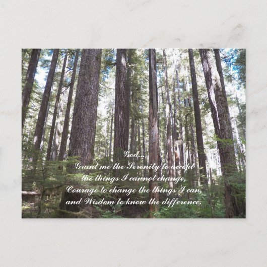 セレニティ感動的祈りの言葉サンライトフォレスト ポストカード (正面)