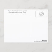 セレニティ感動的祈りの言葉サンライトフォレスト ポストカード (裏面)