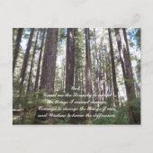 セレニティ感動的祈りの言葉サンライトフォレスト ポストカード (正面)